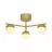 Nordlux Contina Ceiling Light Metal Brass | Suitable for 3x G9