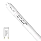 Noxion LED Tube T8 Avant (EM/Mains) Standard Output 19W 2300lm - 865 Daylight | 150cm - Replaces 58W